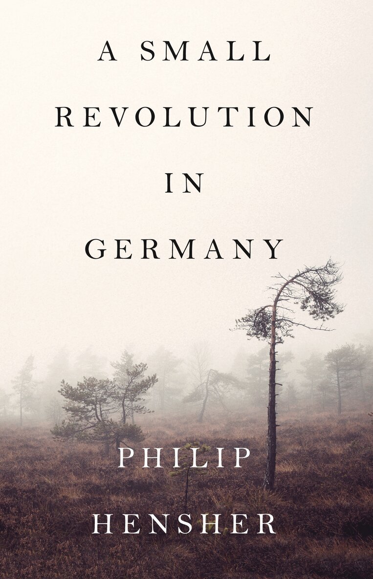 Philip Hensher - Small Revolution in Germany, E-bok
