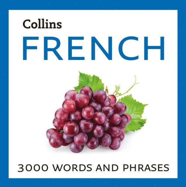 Daniel Richards - Learn French, Ljudbok