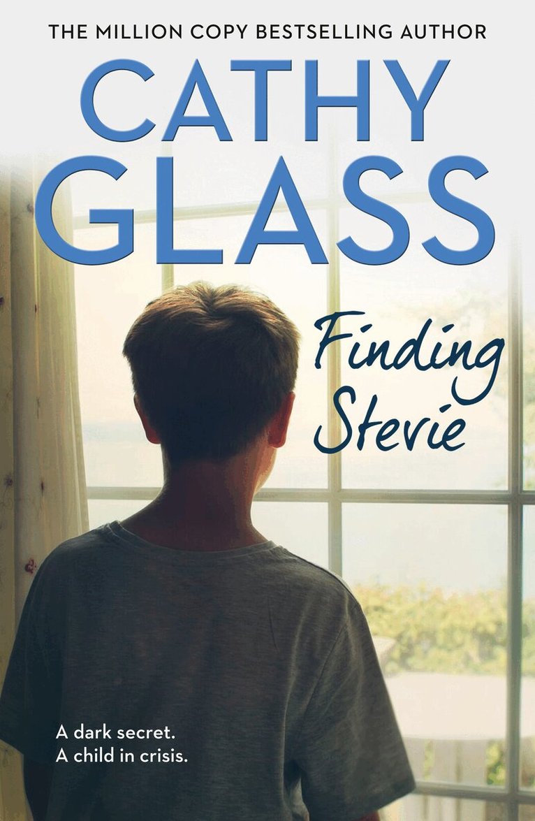 Cathy Glass - Finding Stevie, E-bok