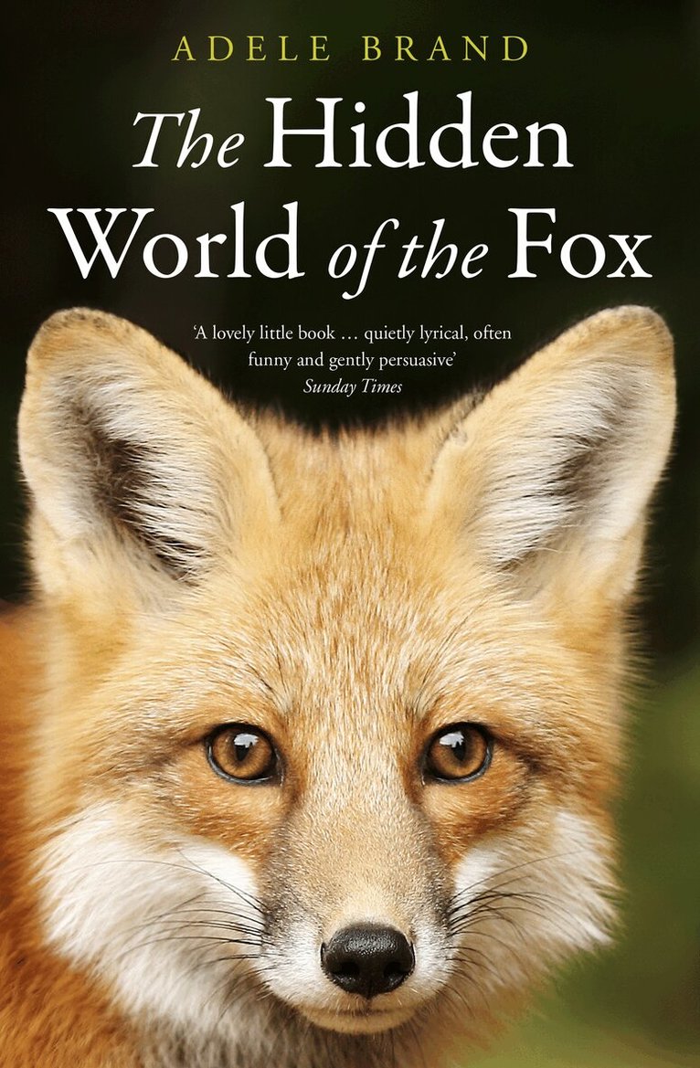 Adele Brand - Hidden World of the Fox, Häftad. Tillgänglighet: Lägg i varukorg