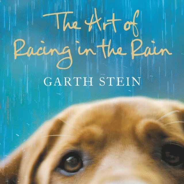Garth Stein - Art of Racing in the Rain, Ljudbok