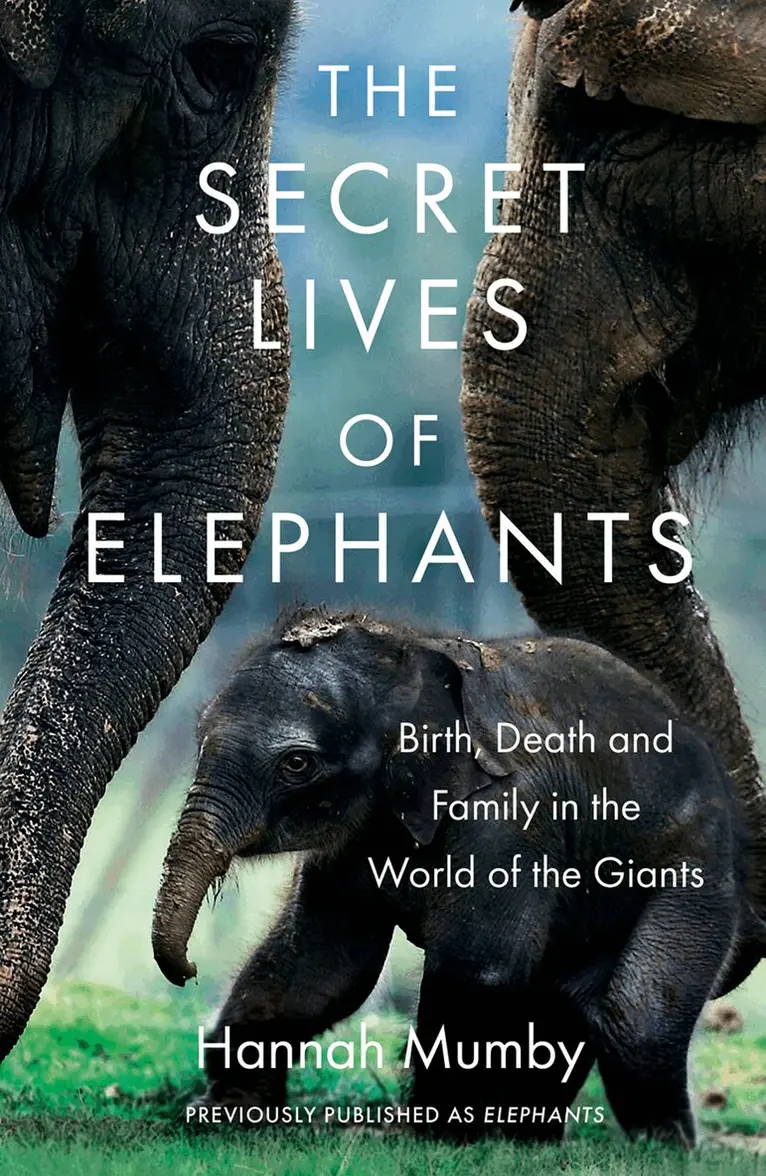 Hannah Mumby - Secret Lives of Elephants, E-bok. Tillgänglighet: Lägg i varukorg