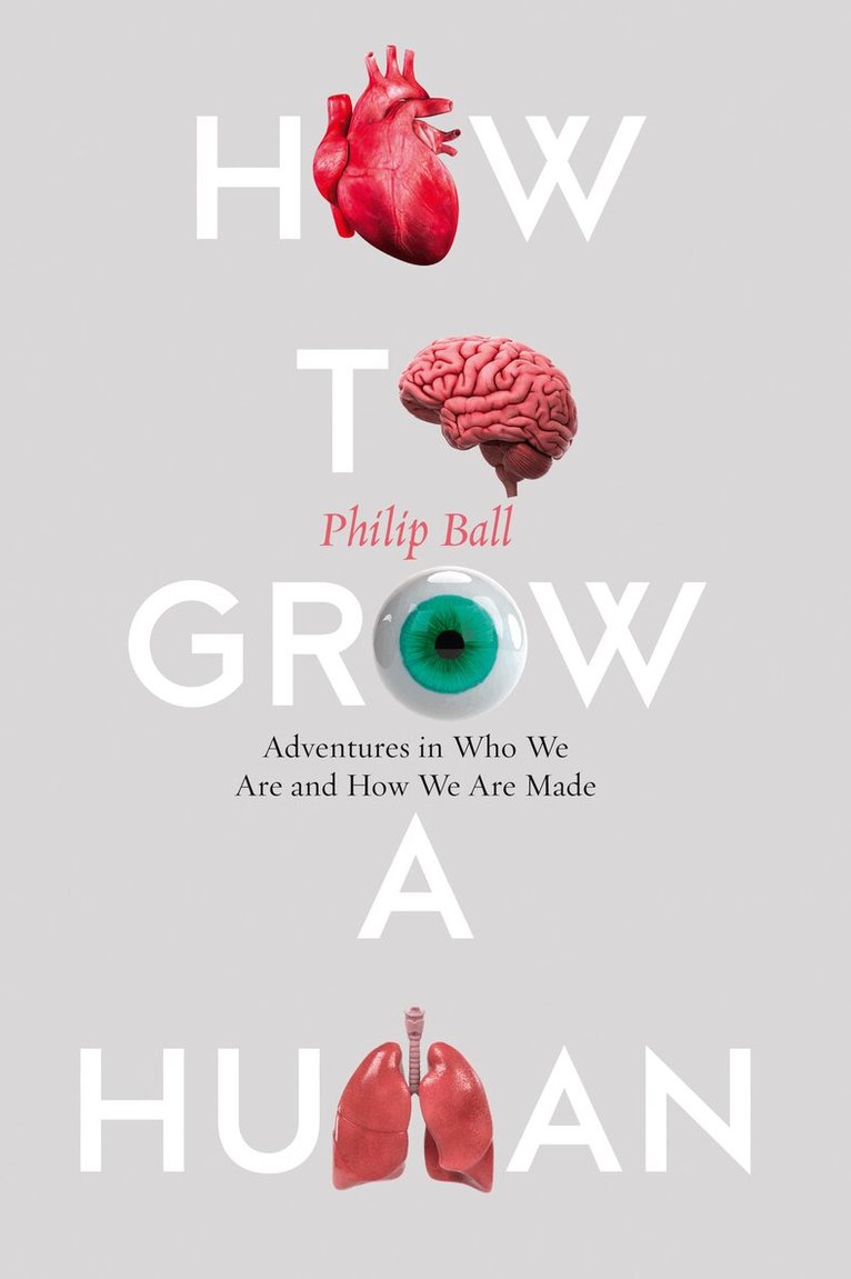 Philip Ball - How to Grow a Human, E-bok