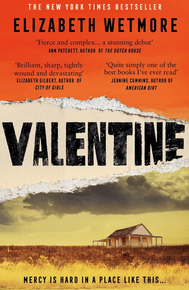 Elizabeth Wetmore - Valentine, E-bok