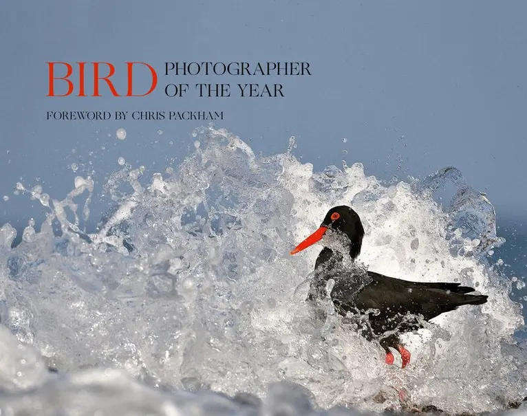 Bird Photographer of the Year - Bird Photographer of the Year, Inbunden. Tillgänglighet: Lägg i varukorg