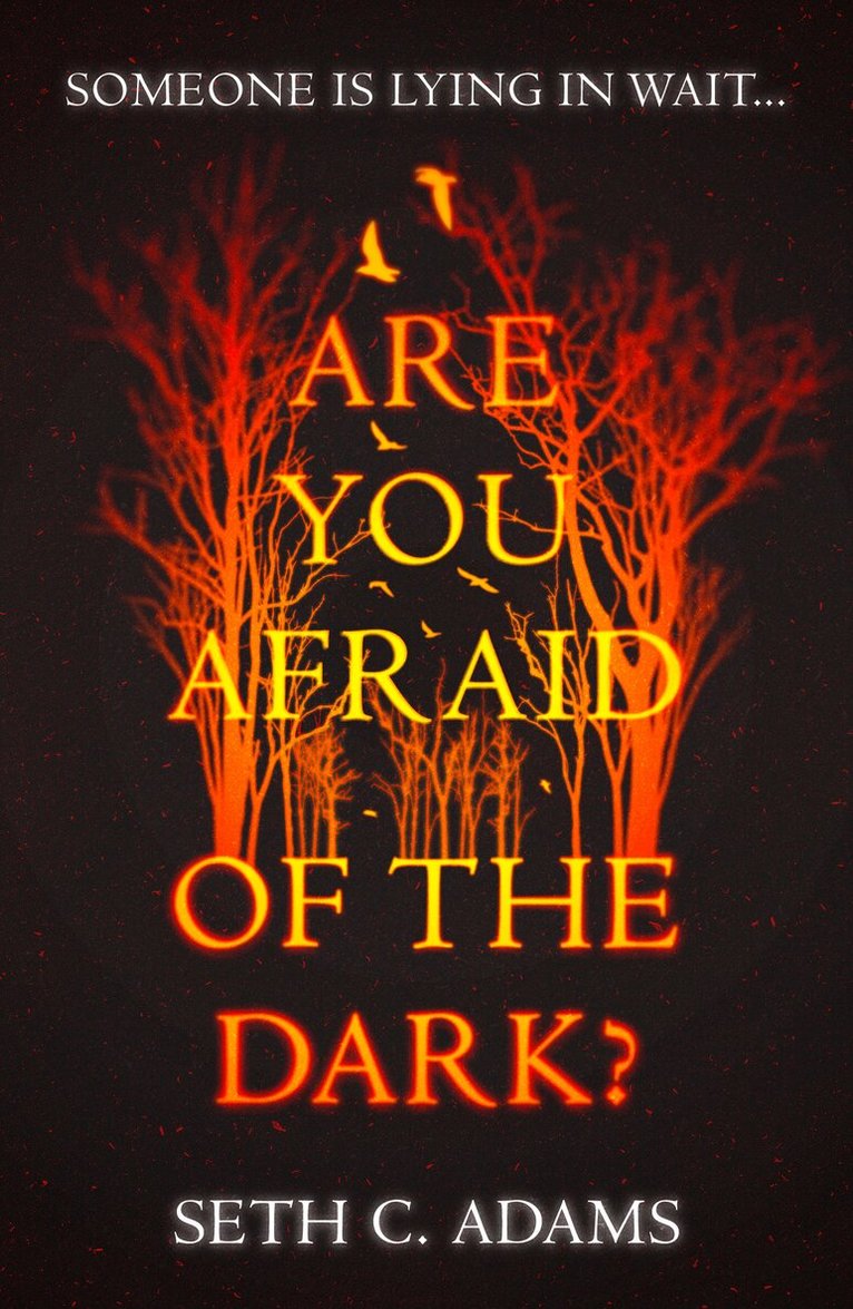 Seth C. Adams - Are You Afraid of the Dark?, E-bok