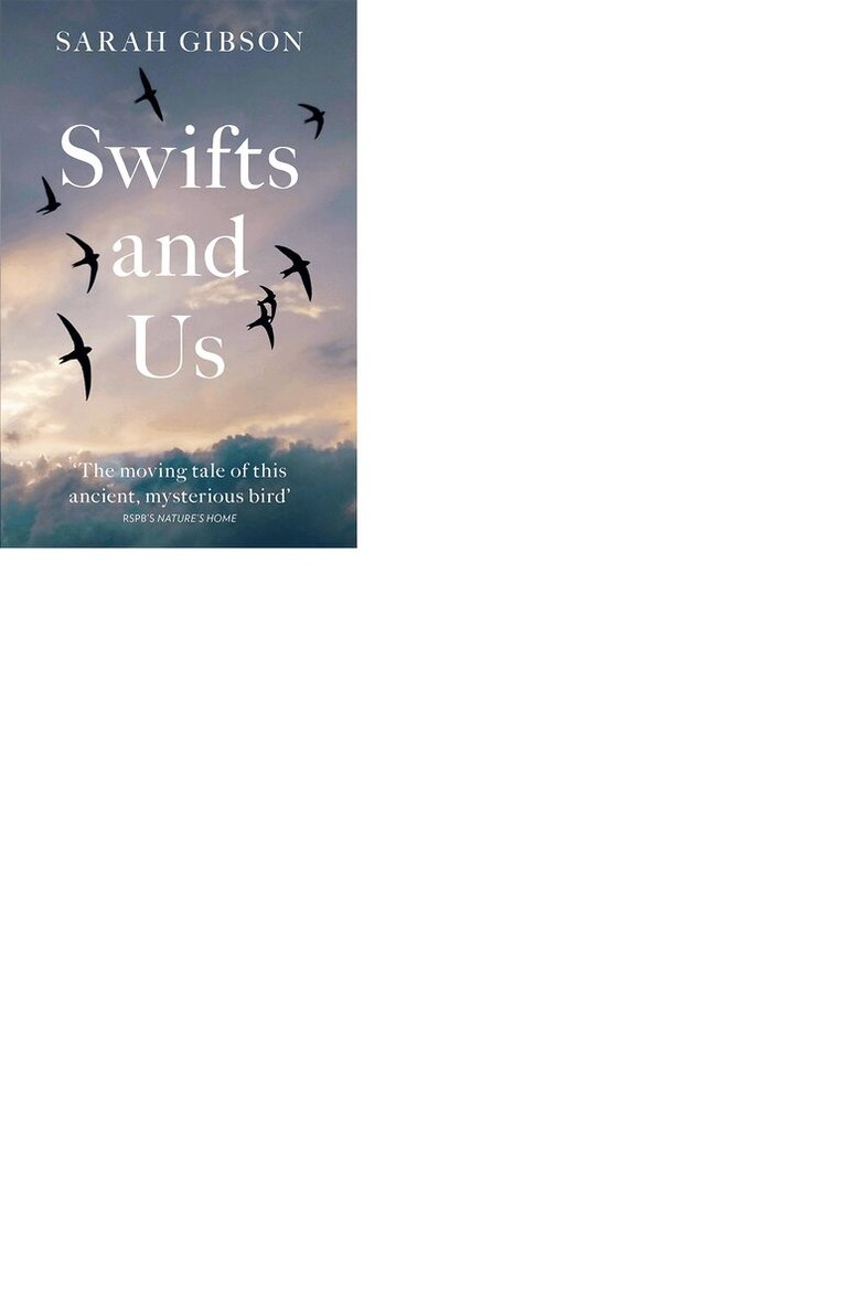 Sarah Gibson - Swifts and Us, E-bok