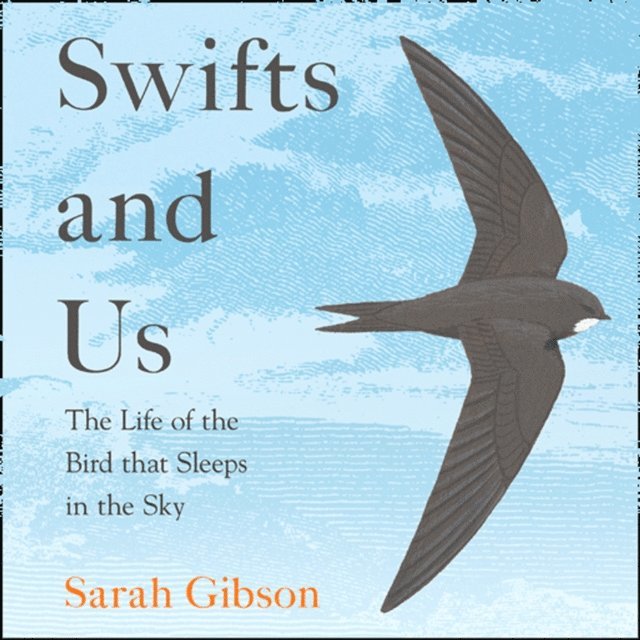 Sarah Gibson - Swifts and Us, Ljudbok
