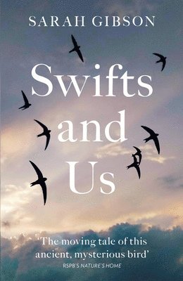 Swifts and Us av Sarah Gibson
