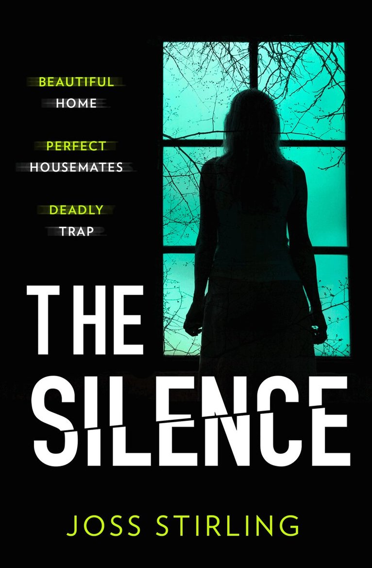Joss Stirling - Silence, E-bok