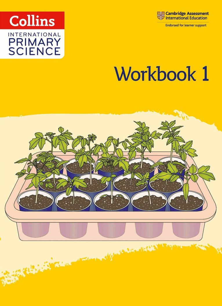 Tbd - International Primary Science Workbook: Stage 1, Häftad. Tillgänglighet: Lägg i varukorg