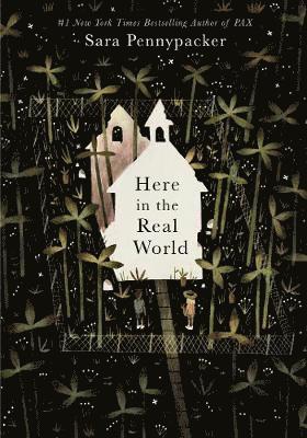 Here in the Real World av Sara Pennypacker