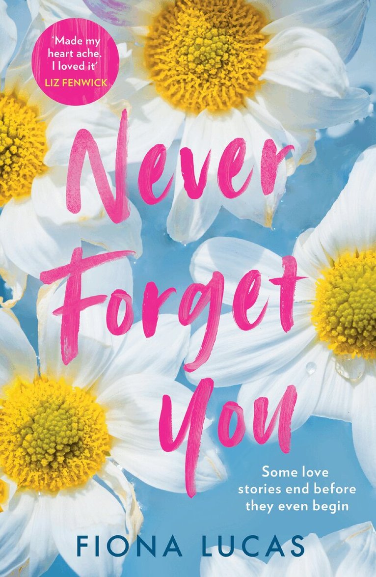 Fiona Lucas - Never Forget You, E-bok