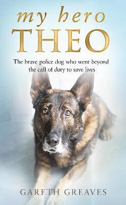 Gareth Greaves - My Hero Theo, Inbunden