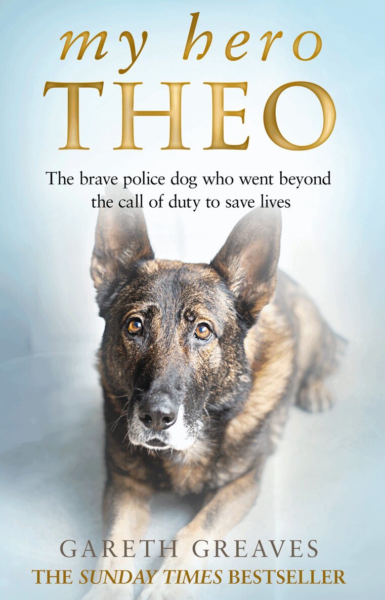 Gareth Greaves - My Hero Theo, Häftad
