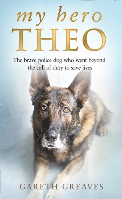 Gareth Greaves - My Hero Theo, E-bok