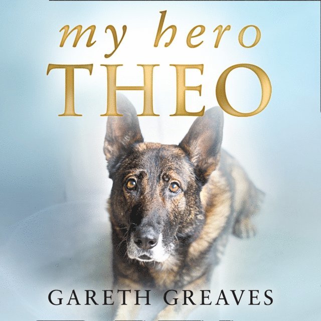 Gareth Greaves - My Hero Theo, Ljudbok
