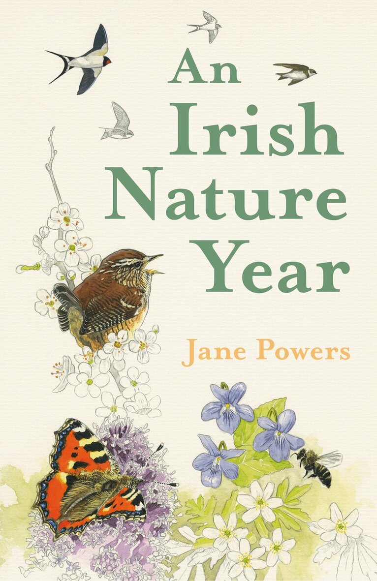 Jane Powers - Irish Nature Year, E-bok