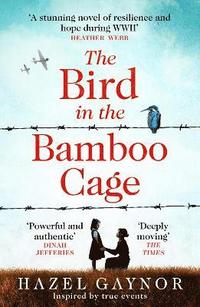 The Bird in the Bamboo Cage