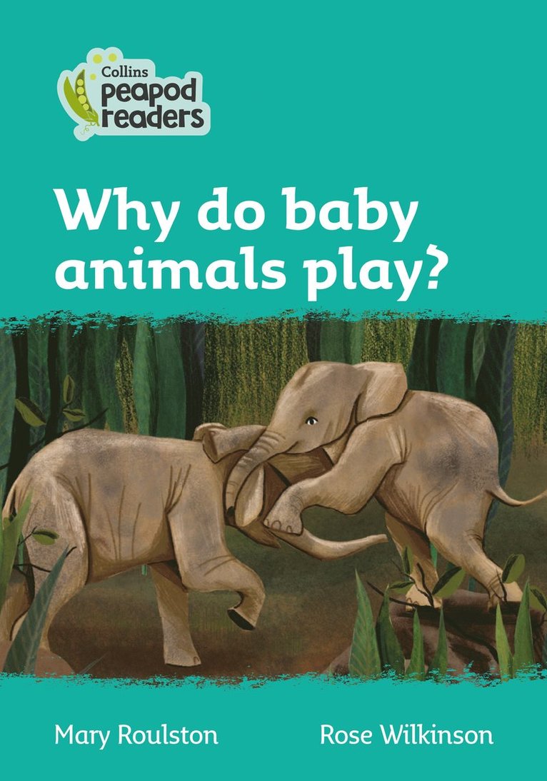 Mary Roulston - Why do baby animals play?, Häftad