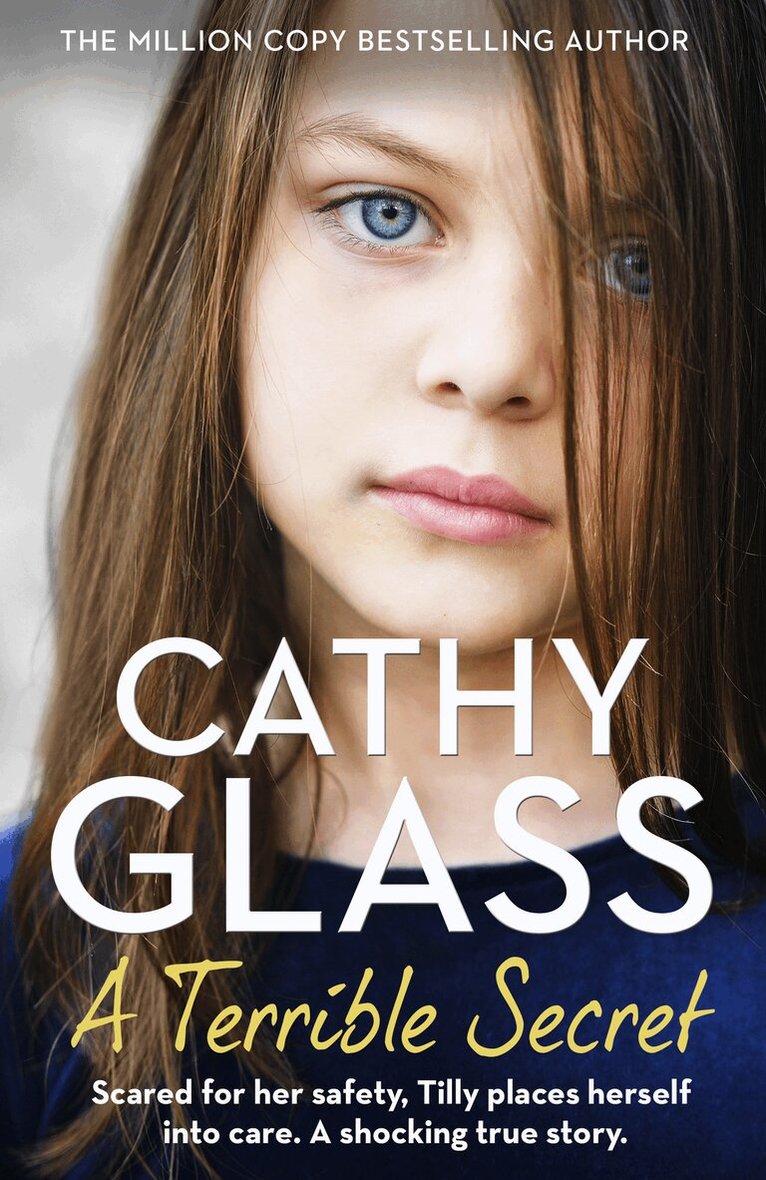 Cathy Glass - Terrible Secret, Häftad