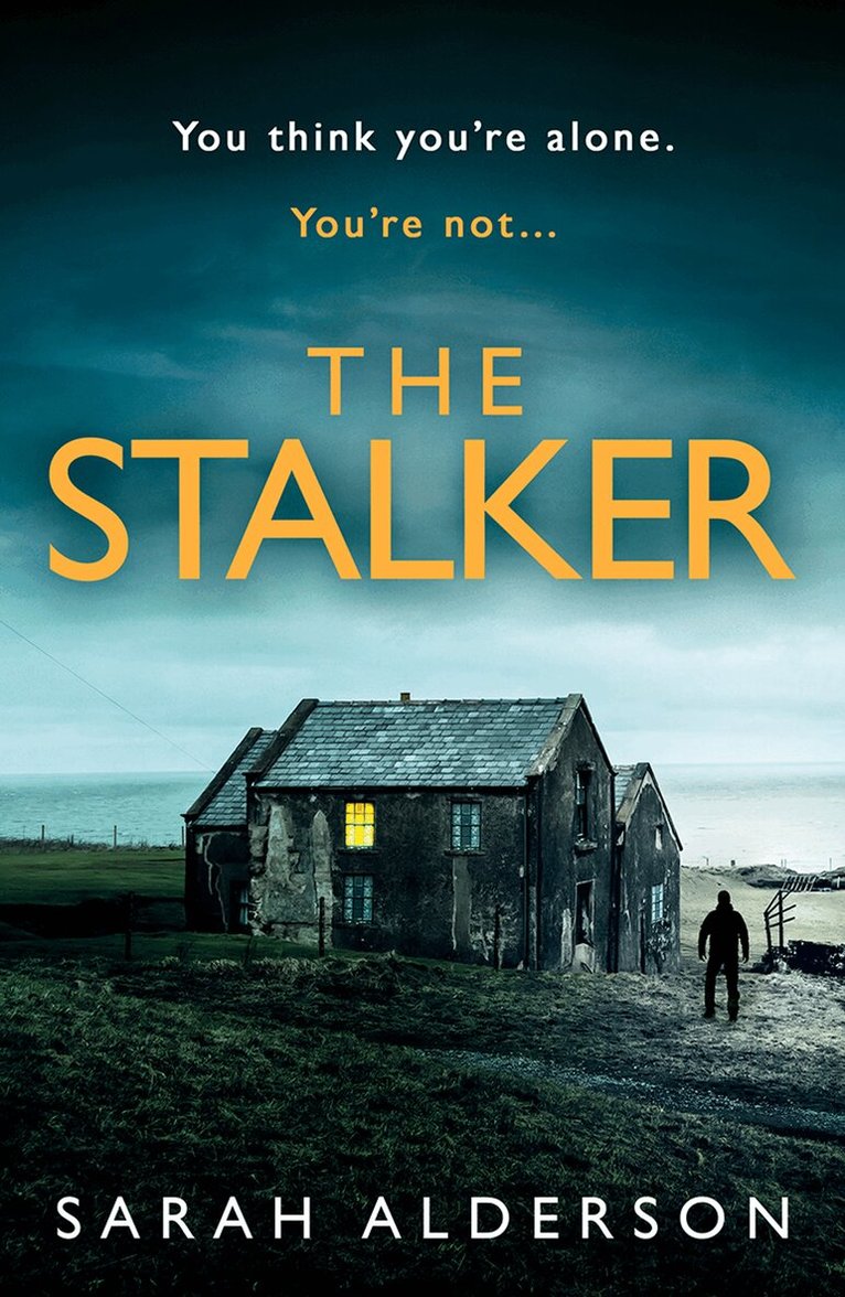 Sarah Alderson - Stalker, E-bok
