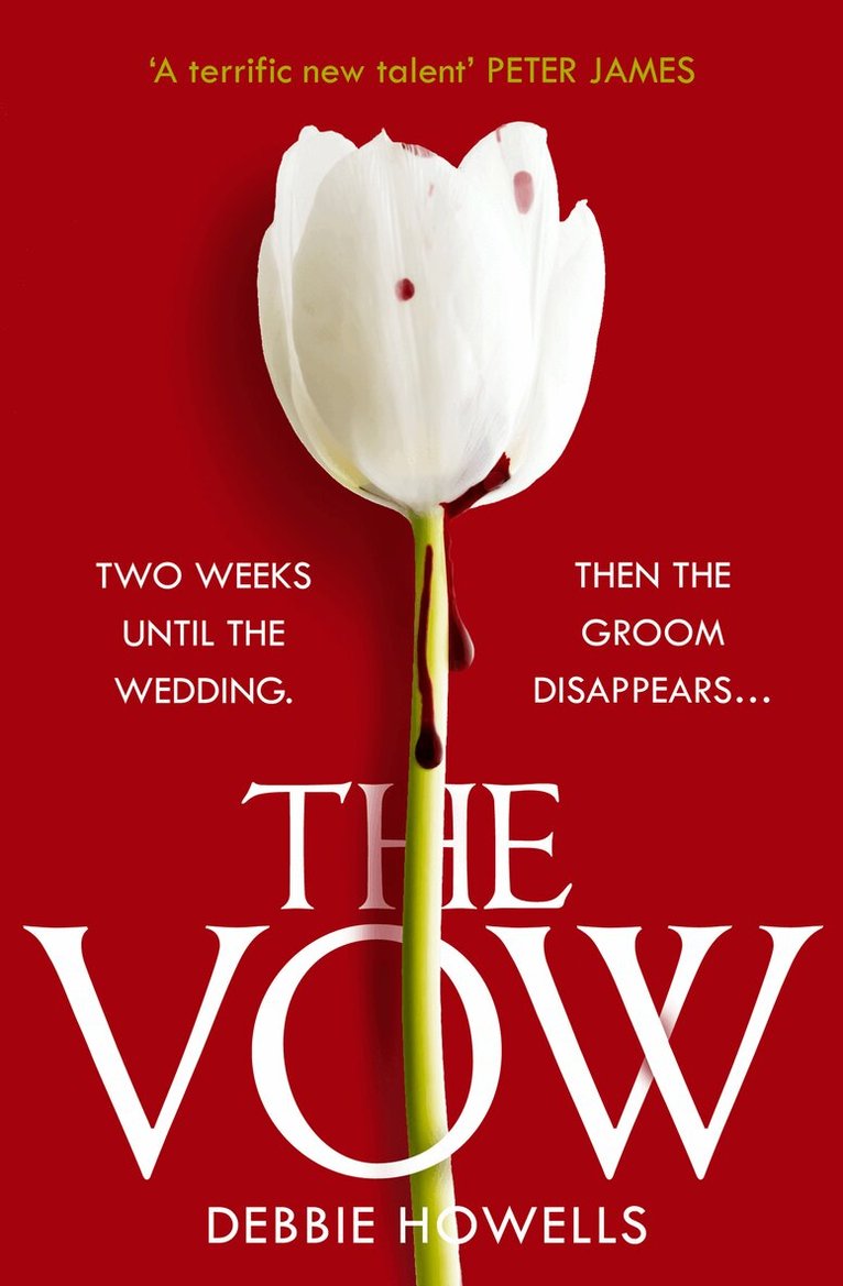 Debbie Howells - Vow, E-bok