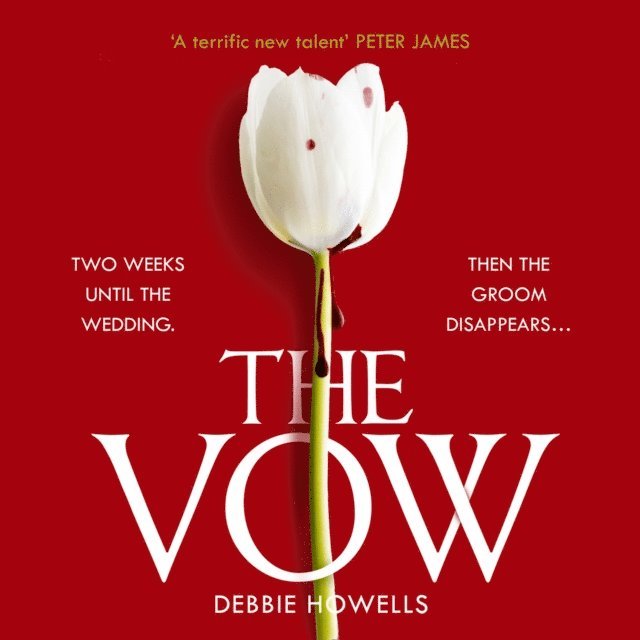 Debbie Howells - Vow, Ljudbok