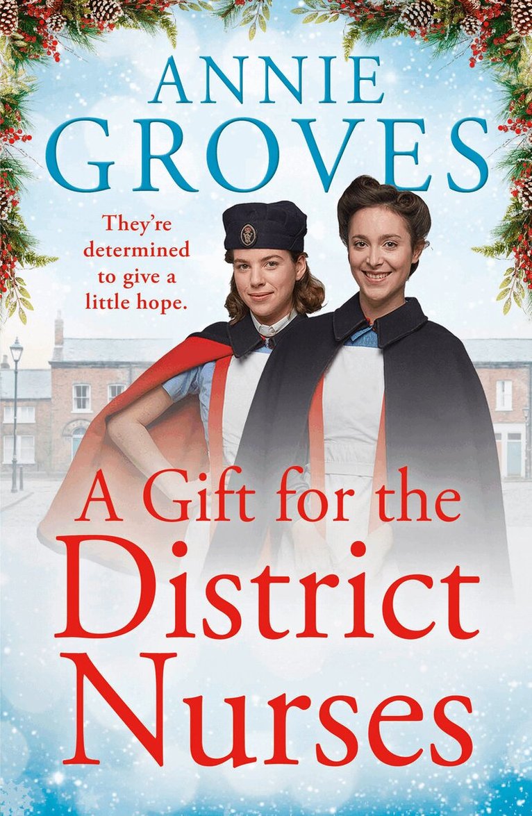 Annie Groves - Gift for the District Nurses, E-bok