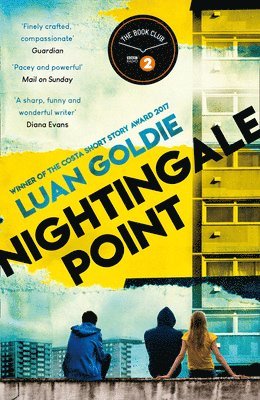 Luan Goldie - Nightingale Point, Häftad