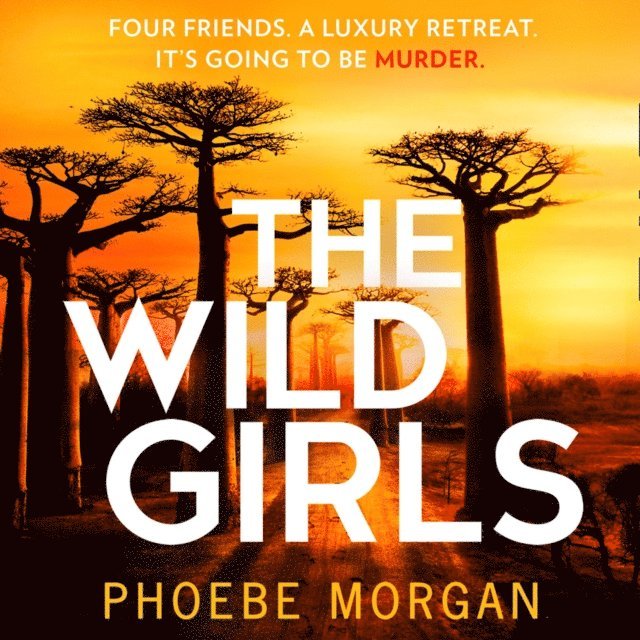 Phoebe Morgan - Wild Girls, Ljudbok