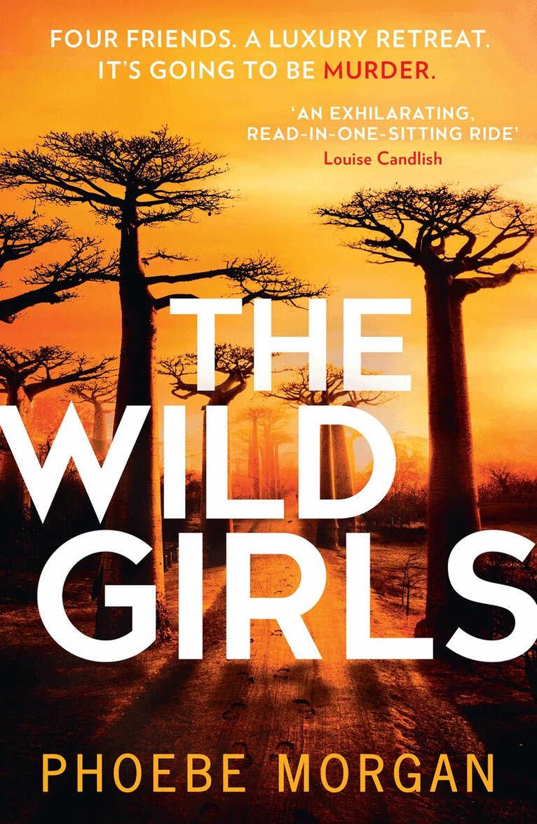 Phoebe Morgan - Wild Girls, E-bok