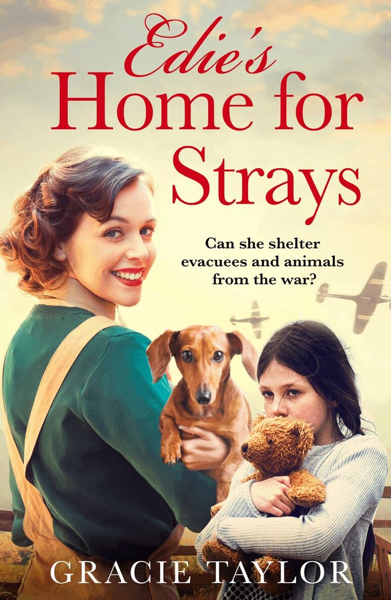 Gracie Taylor - Edie’s Home for Strays, Häftad