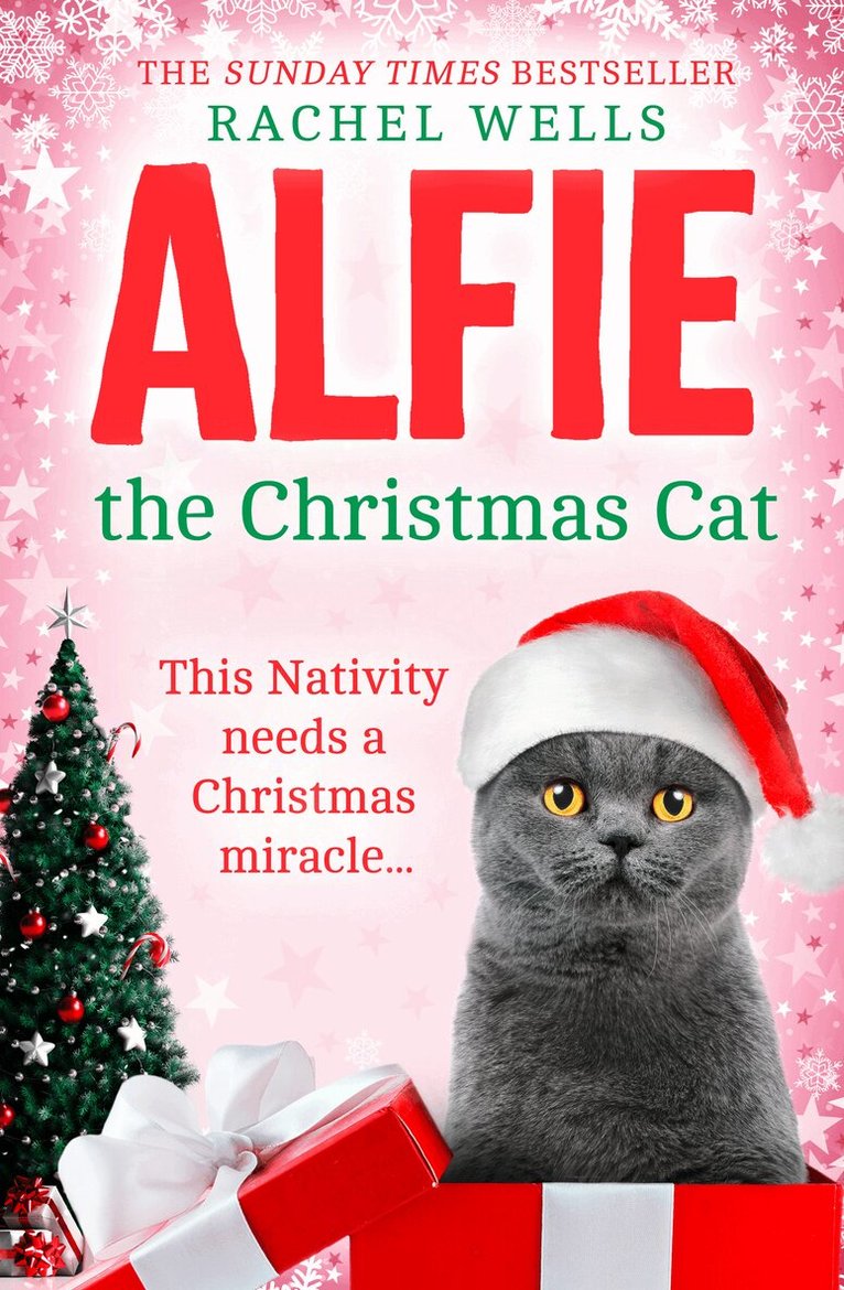 Rachel Wells - Alfie the Christmas Cat, E-bok