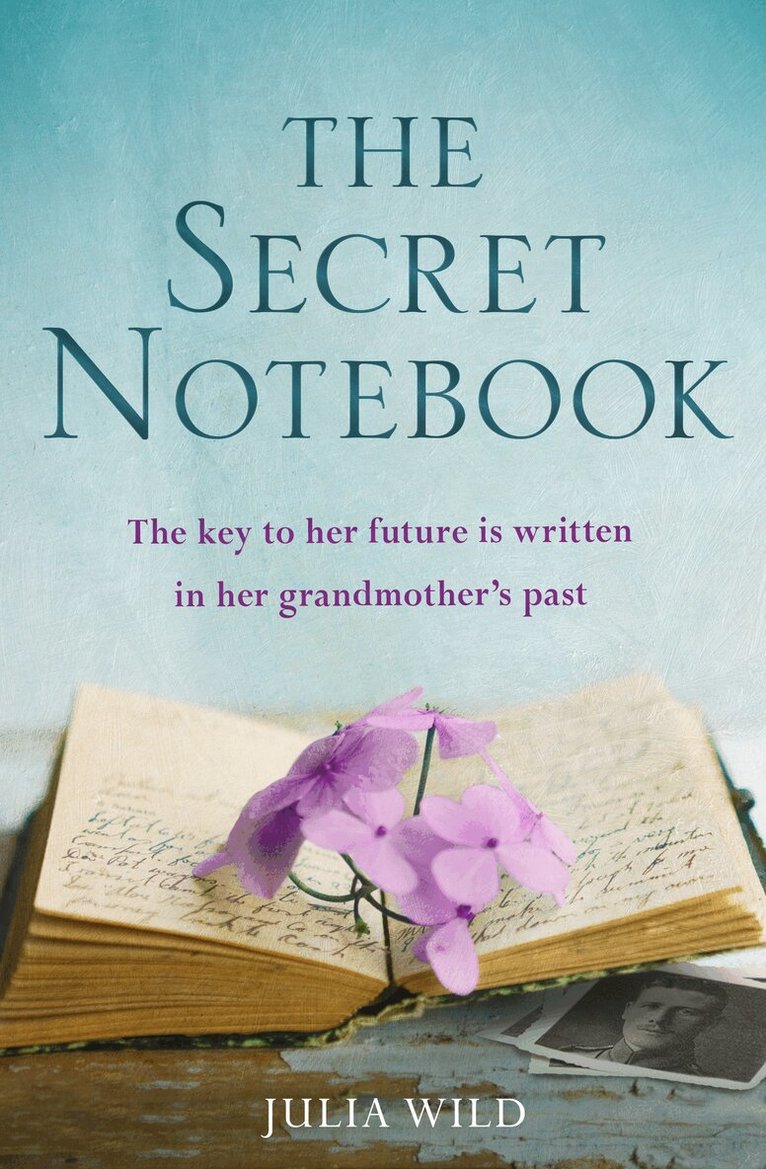 Julia Wild - Secret Notebook, E-bok