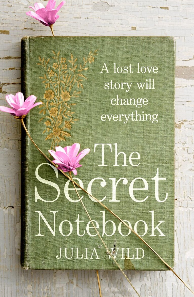Julia Wild - Secret Notebook, Häftad