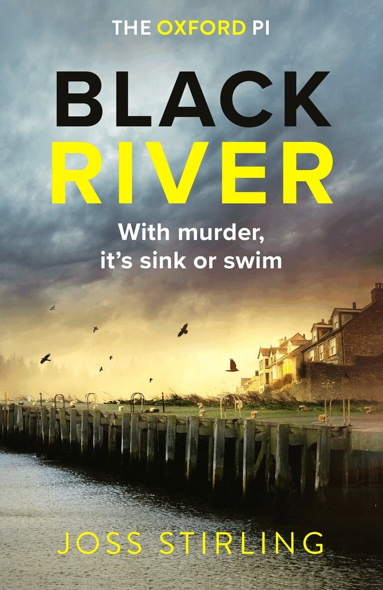 Joss Stirling - Black River, E-bok