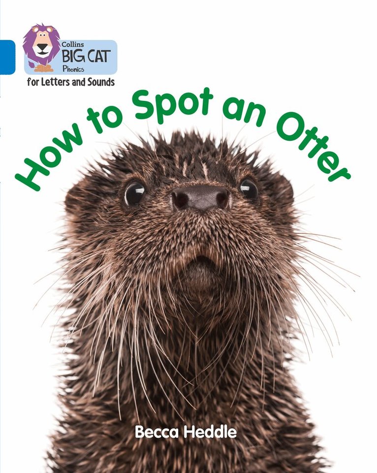 Becca Heddle - How to Spot an Otter, E-bok