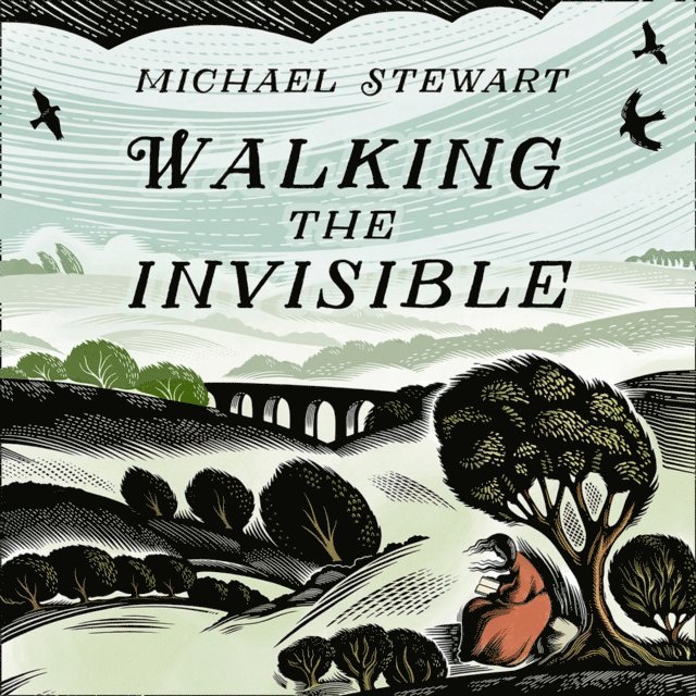 Michael Stewart - Walking The Invisible, Ljudbok