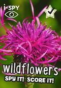 i-SPY Wildflowers