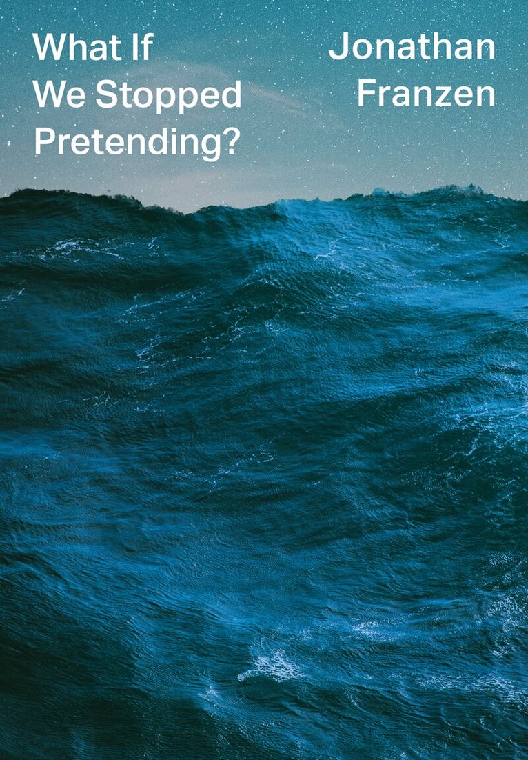 Jonathan Franzen - What If We Stopped Pretending?, E-bok