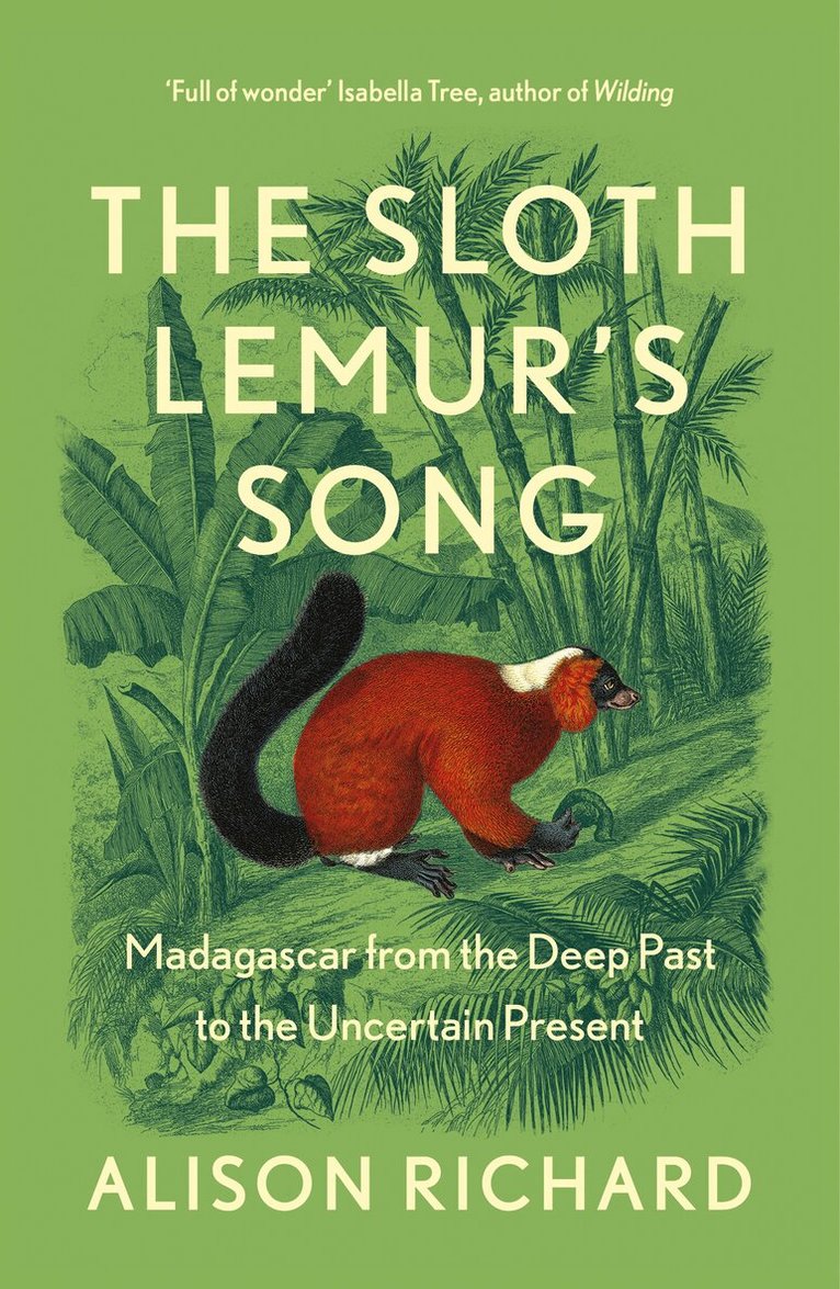 Alison Richard - Sloth Lemur’s Song, E-bok