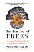 Heartbeat of Trees