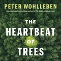 Heartbeat of Trees