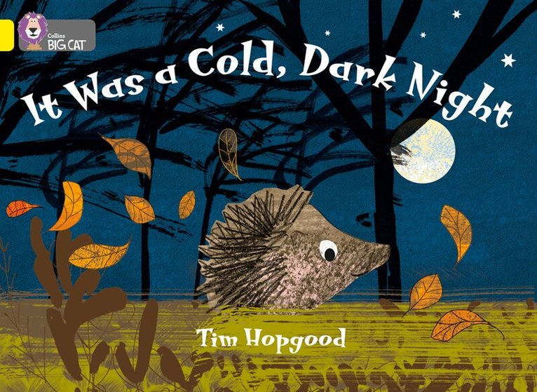 Tim Hopgood - It Was a Cold Dark Night, E-bok