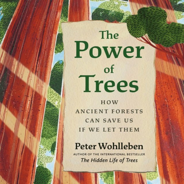 Peter Wohlleben - Power of Trees, Ljudbok