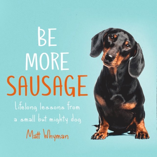 Matt Whyman - Be More Sausage, Ljudbok