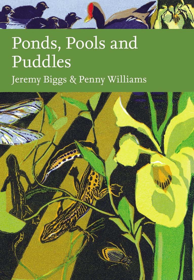 Jeremy Biggs, Penny Williams - Ponds, Pools and Puddles, E-bok