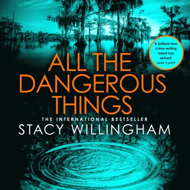 Stacy Willingham - All the Dangerous Things, Ljudbok