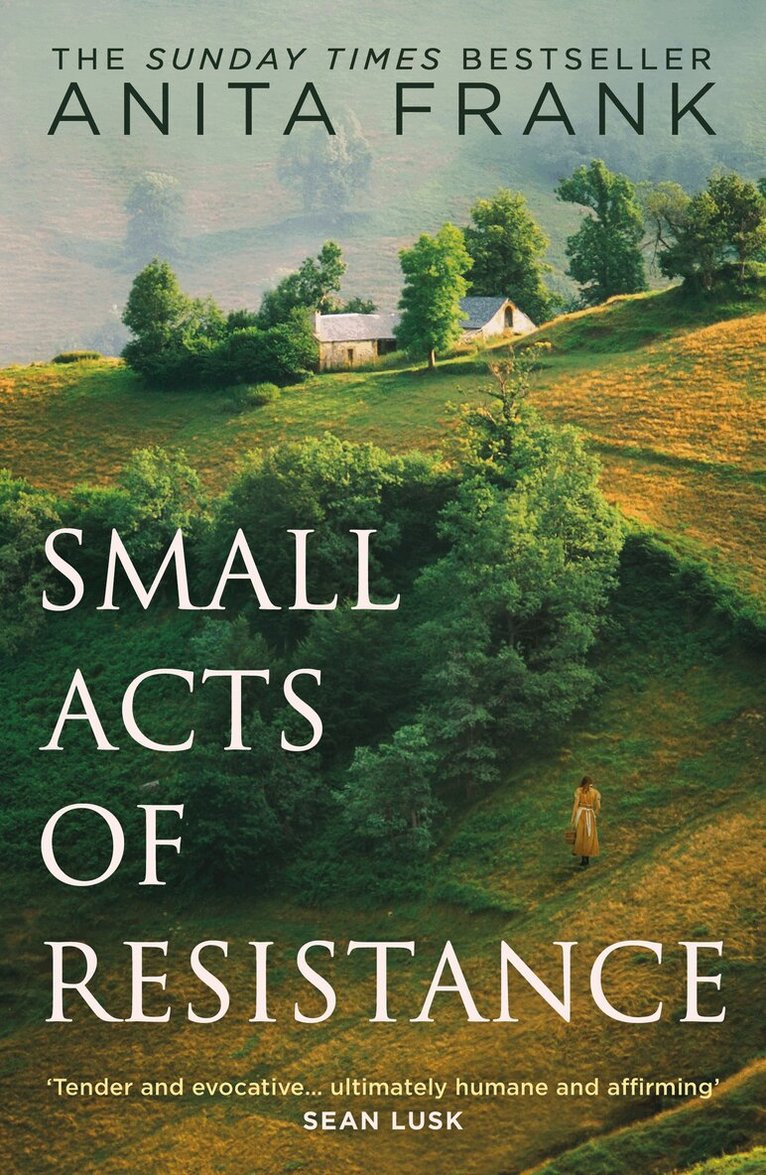 Anita Frank - Small Acts of Resistance, E-bok